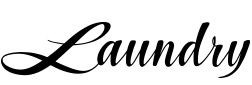 logo footer